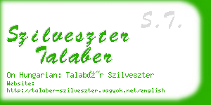 szilveszter talaber business card